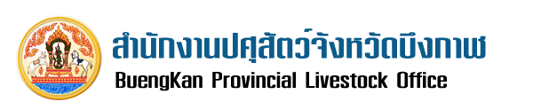 04 logo web buengkan