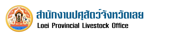 08 logo web loei