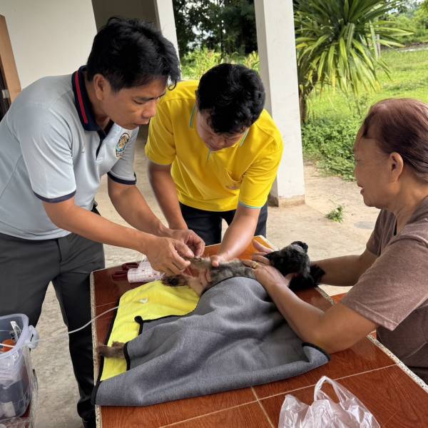 ให้บริการดูแลสุขภาพสัตว์