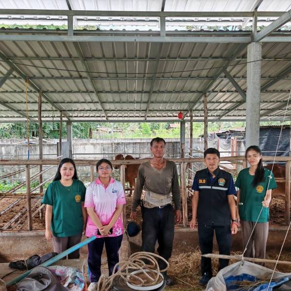 ปศุสัตว์อำเภอท่าอุเทน ตรวจเยี่ยมเกษตรกรผู้เลี้ยงโค