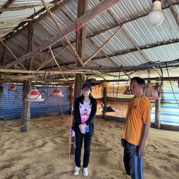 สนง.ปศุสัตว์จังหวัดหนองบัวลำภู ตรวจประเมินสัตว์ปีกเข้าเลี้ยงใหม่