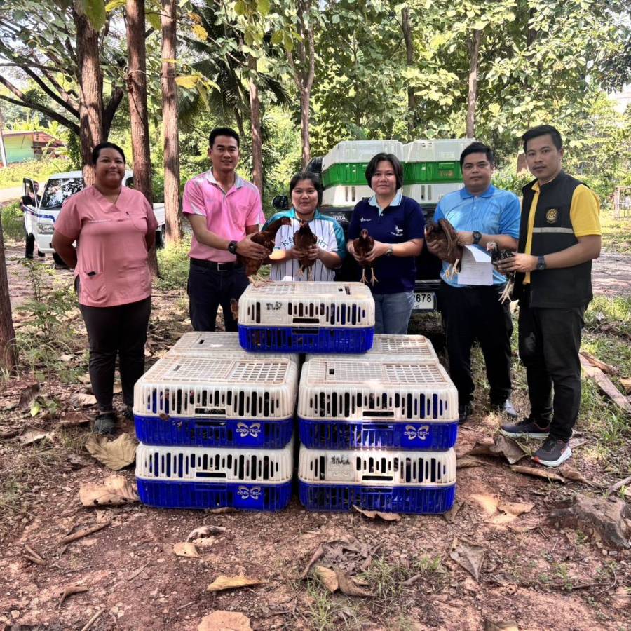 สนง.ปศอ.ด่านซ้าย ร่วมส่งมอบพันธุ์ไก่ ให้กับโรงเรียนบ้านค้อดอนแคน จ.อุดรธานี