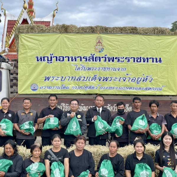 สนง.ปศจ.ร้อยเอ็ด “มอบหญ้าอาหารสัตว์พระราชทาน”